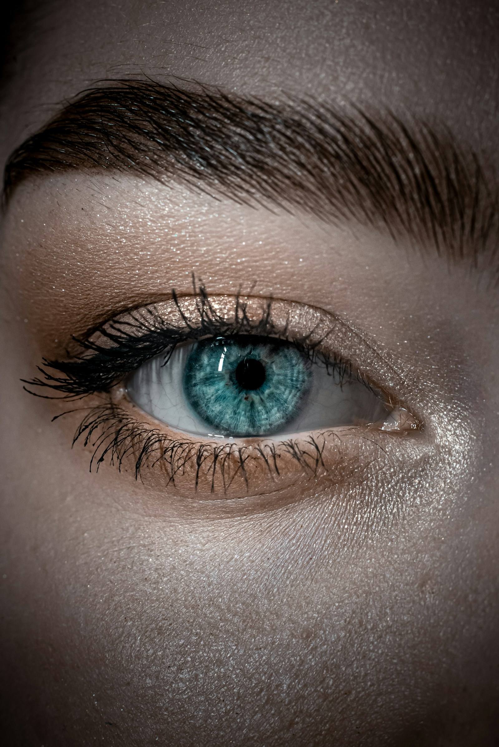 Close-up of a blue eye and a full, softly shaped brow