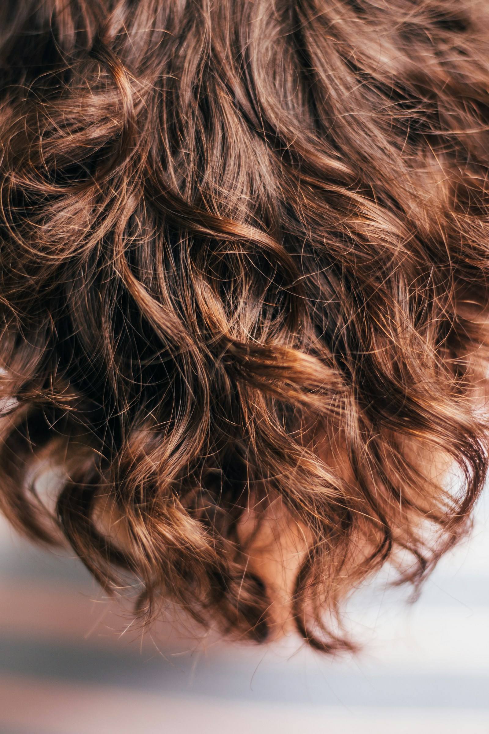 Glossy dark brown curls filling the frame